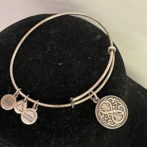 2014 Alex & Ani “Path of Life” pull chain silver tone charm bracelet - Picture 2 of 10